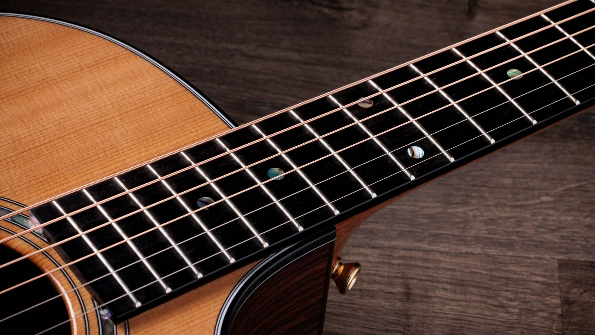 Taylor 714, Backline Rent Contact